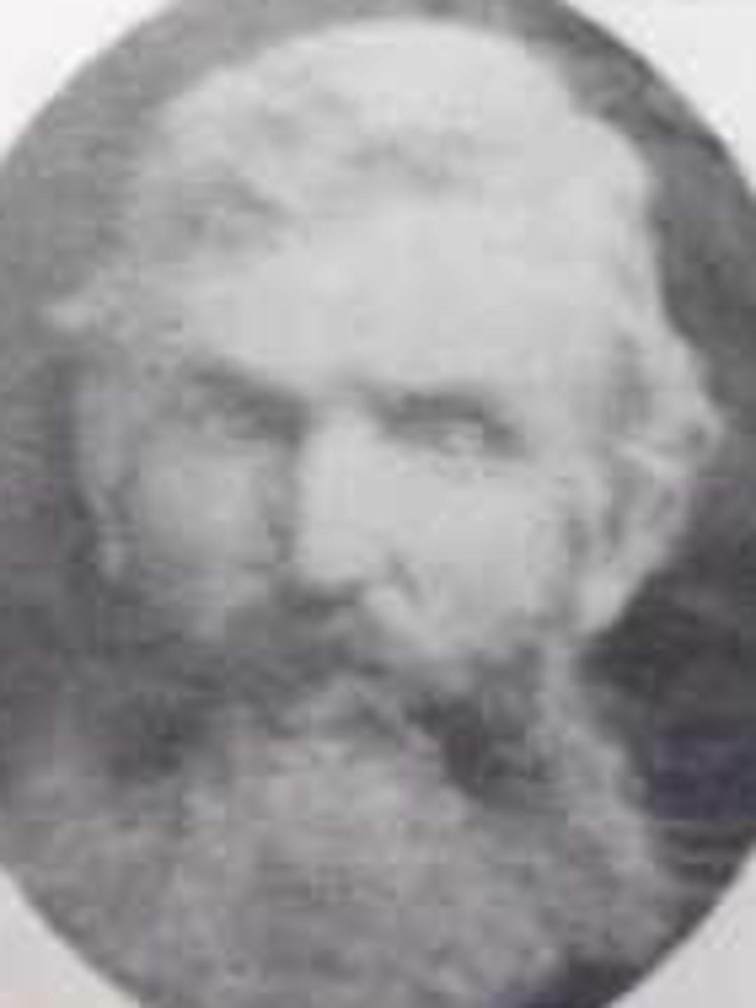 Martin DeWitt (1826 - 1900) Profile